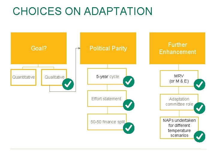 CHOICES ON ADAPTATION Goal or Goal? No Goal? Quantitative Qualitative Political Parity 5 -year