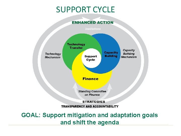 SUPPORT CYCLE Finance Strategies Inputs: - National reports - Biennial Enhanced Action assessments e.