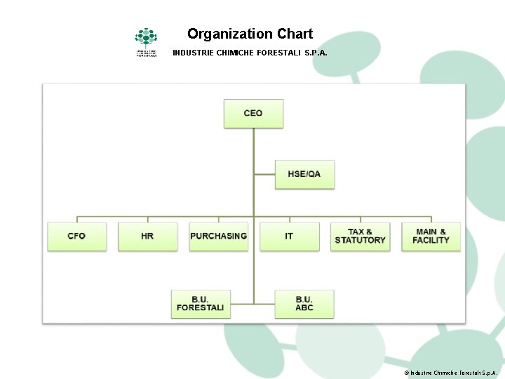 Organization Chart INDUSTRIE CHIMICHE FORESTALI S. P. A. © Industrie Chimiche Forestali S. p.