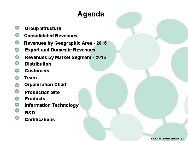 Agenda Group Structure Consolidated Revenues by Geographic Area - 2016 Export and Domestic Revenues