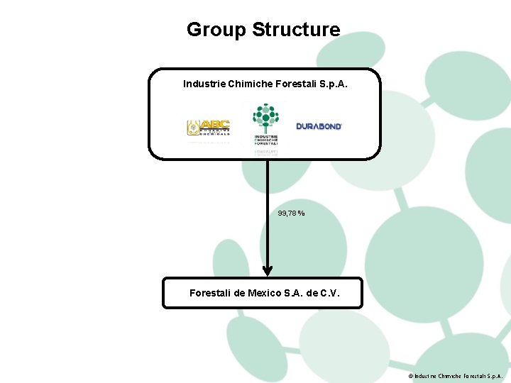 Group Structure Industrie Chimiche Forestali S. p. A. 99, 78 % Forestali de Mexico