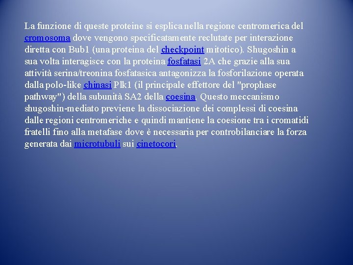 La funzione di queste proteine si esplica nella regione centromerica del cromosoma dove vengono La funzione di queste proteine si esplica nella regione centromerica del cromosoma dove vengono
