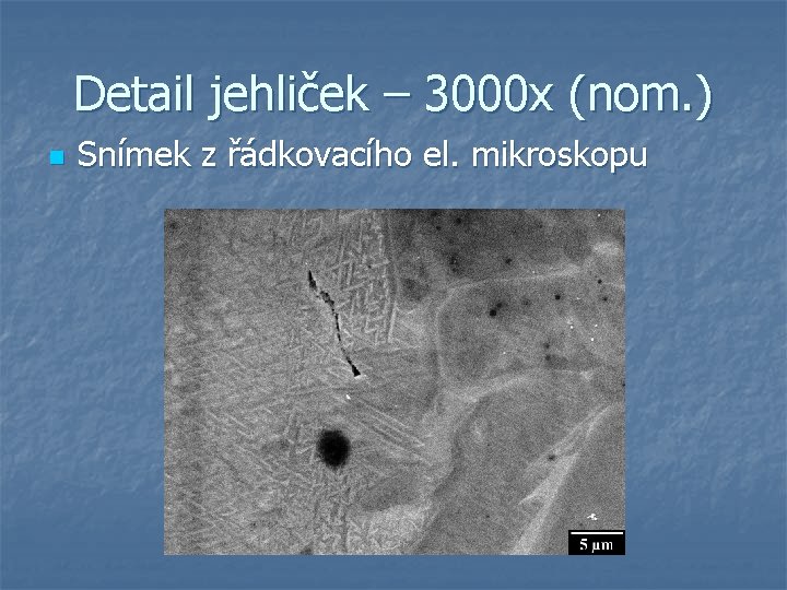 Detail jehliček – 3000 x (nom. ) n Snímek z řádkovacího el. mikroskopu 