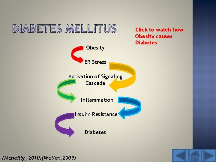 Obesity ER Stress Activation of Signaling Cascade Inflammation Insulin Resistance Diabetes (Meneilly, 2010)(Wellen, 2009)