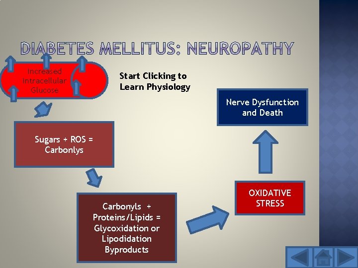 Increased Intracellular Glucose Start Clicking to Learn Physiology Nerve Dysfunction and Death Sugars +