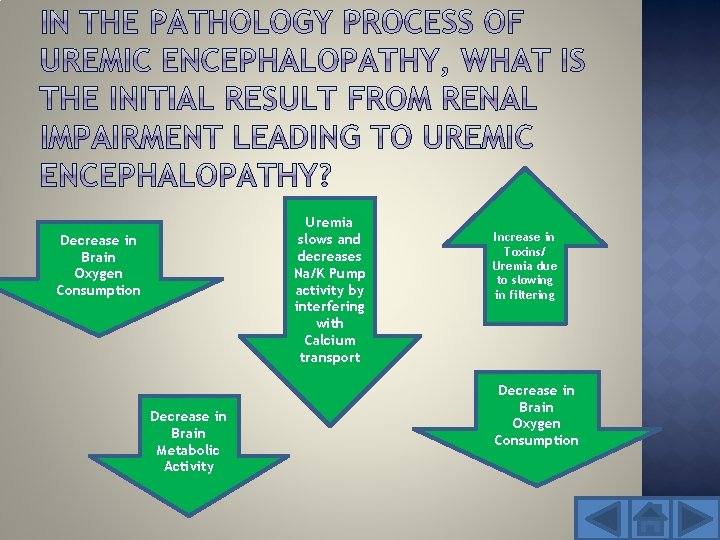 Uremia Close! slows and decreases But Na/K Pump try activity by again. interfering with