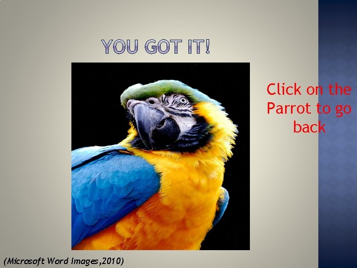 Click on the Parrot to go back (Microsoft Word Images, 2010) 