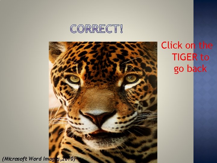 Click on the TIGER to go back (Microsoft Word Images, 2010) 