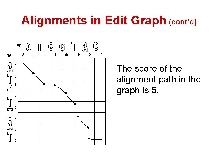 Alignments in Edit Graph (cont’d) The score of the alignment path in the graph