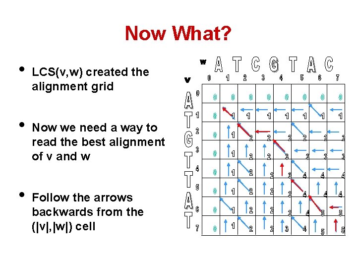 Now What? • • • LCS(v, w) created the alignment grid Now we need