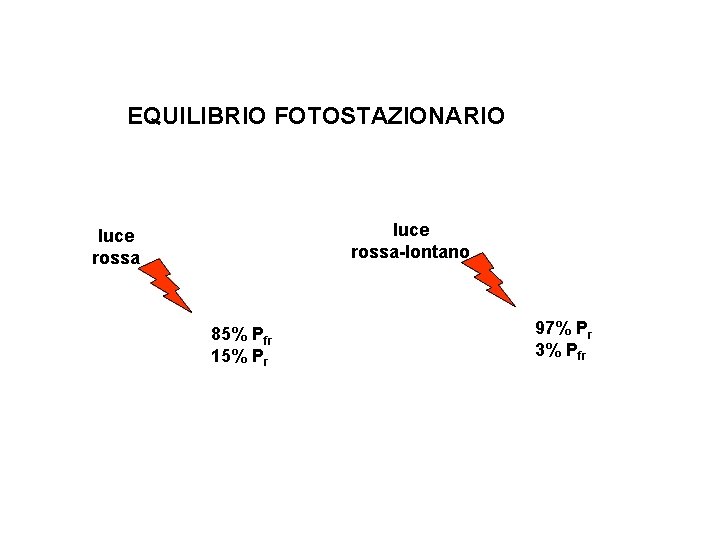 EQUILIBRIO FOTOSTAZIONARIO luce rossa-lontano luce rossa 85% Pfr 15% Pr 97% Pr 3% Pfr