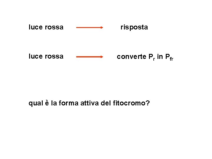 luce rossa risposta converte Pr in Pfr qual è la forma attiva del fitocromo?