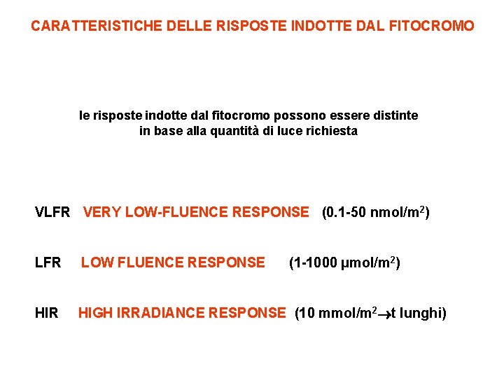 CARATTERISTICHE DELLE RISPOSTE INDOTTE DAL FITOCROMO le risposte indotte dal fitocromo possono essere distinte