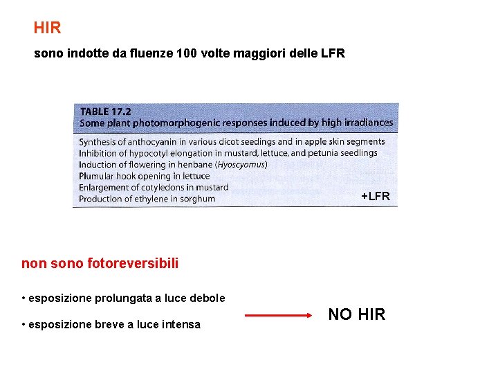 HIR sono indotte da fluenze 100 volte maggiori delle LFR +LFR non sono fotoreversibili
