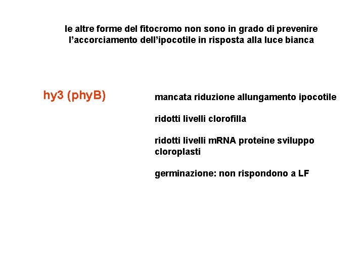 le altre forme del fitocromo non sono in grado di prevenire l’accorciamento dell’ipocotile in