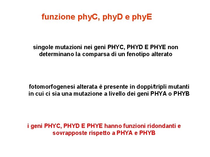 funzione phy. C, phy. D e phy. E singole mutazioni nei geni PHYC, PHYD