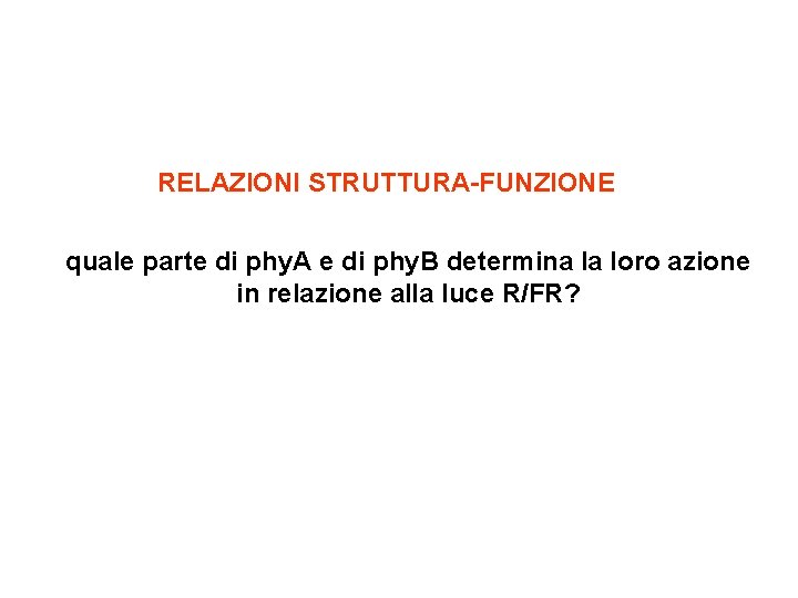 RELAZIONI STRUTTURA-FUNZIONE quale parte di phy. A e di phy. B determina la loro