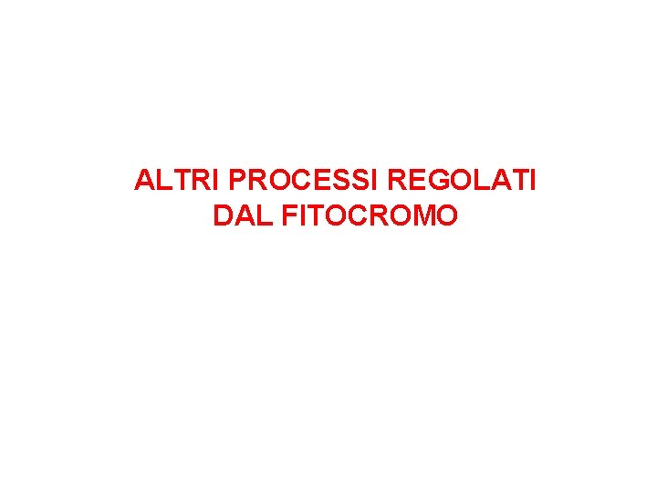 ALTRI PROCESSI REGOLATI DAL FITOCROMO 