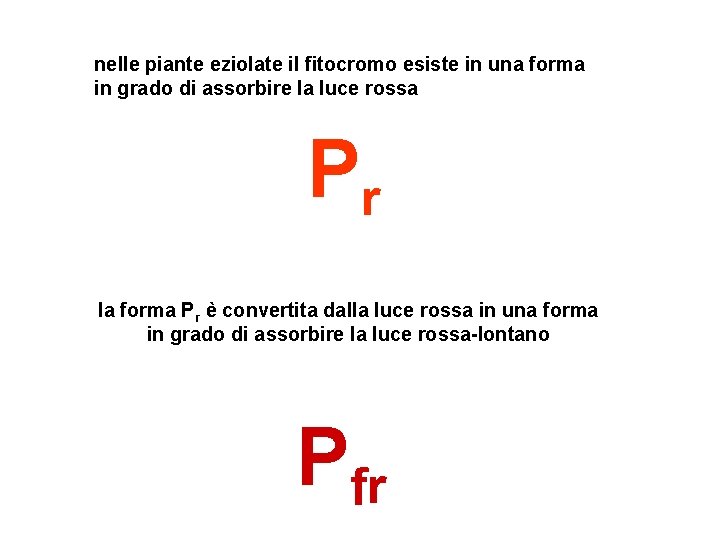 nelle piante eziolate il fitocromo esiste in una forma in grado di assorbire la