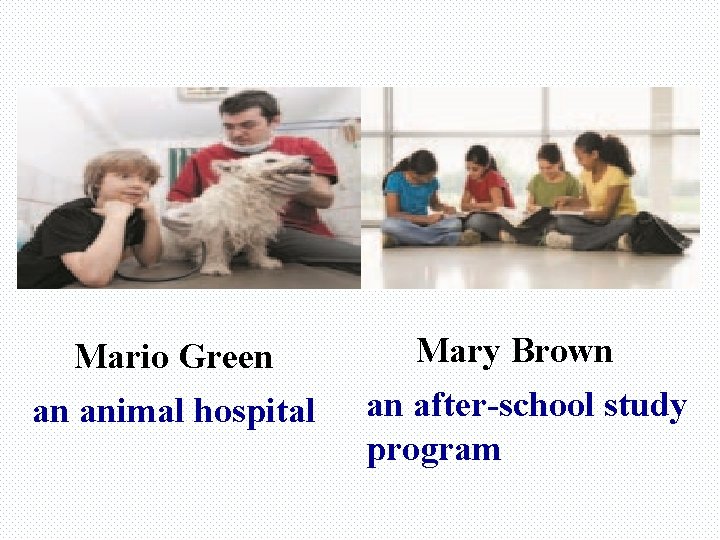 Mario Green an animal hospital Mary Brown an after-school study program 