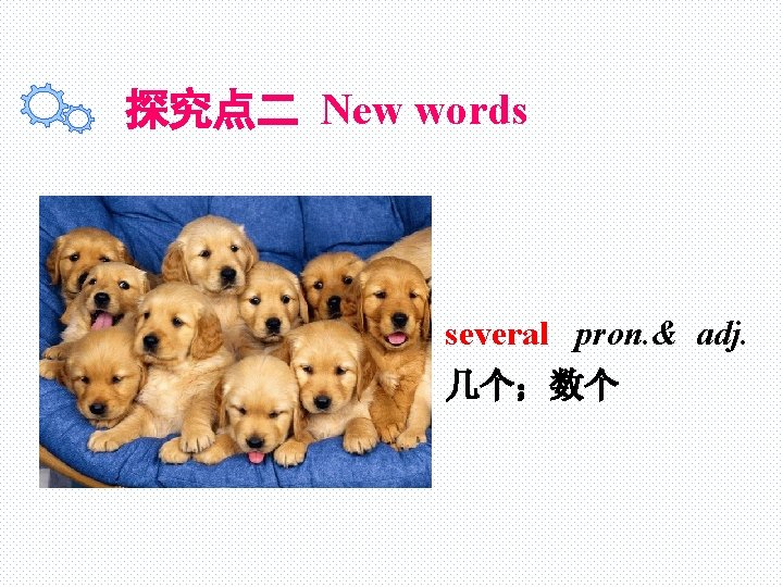 探究点二 New words several pron. & adj. 几个；数个 