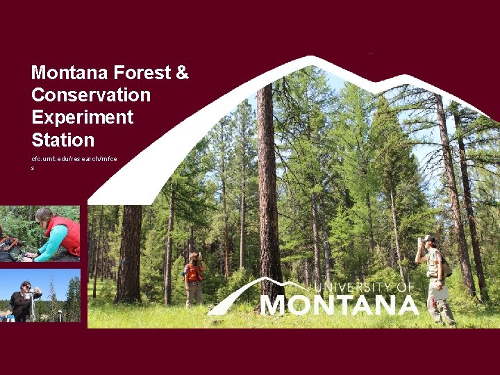 Montana Forest & Conservation Experiment Station cfc. umt. edu/research/mfce s 