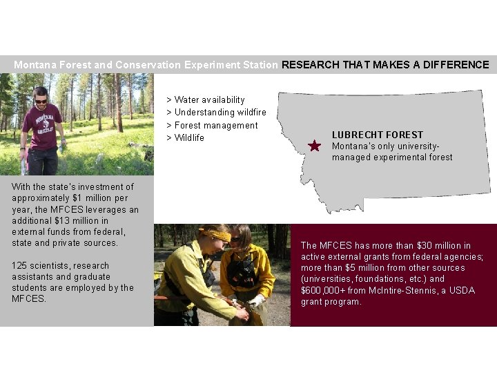 Montana Forest and Conservation Experiment Station RESEARCH THAT MAKES A DIFFERENCE > Water availability