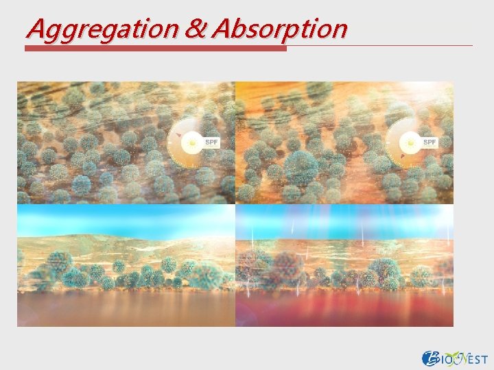 Aggregation & Absorption 