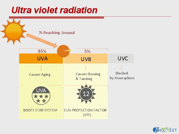 Ultra violet radiation % Reaching Ground 95% 5% UVA UVB Causes Aging Causes Burning