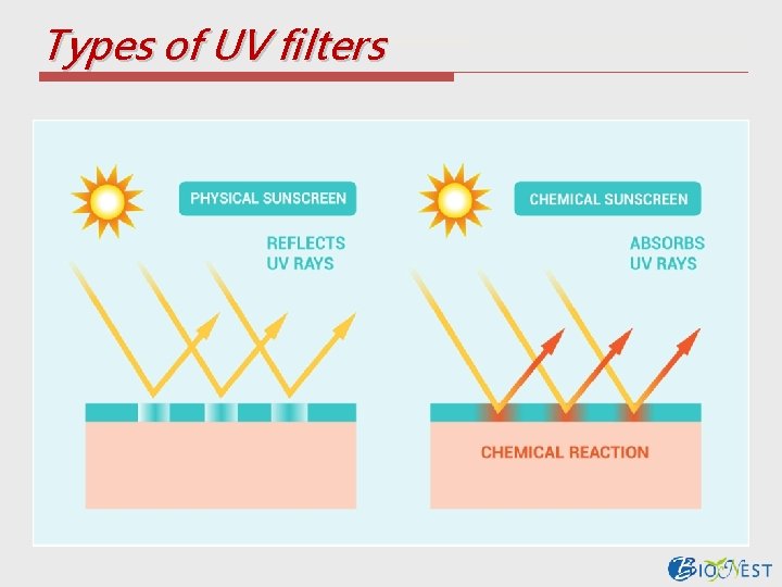 Types of UV filters 