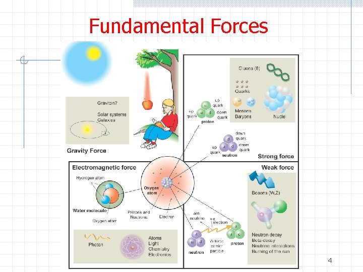 Fundamental Forces 4 