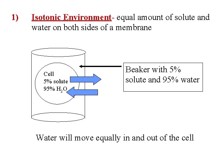 1) Isotonic Environment- equal amount of solute and water on both sides of a