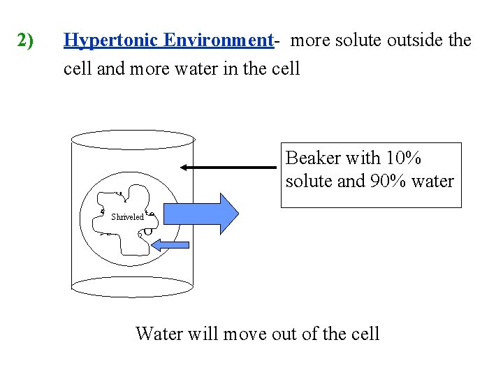 2) Hypertonic Environment- more solute outside the cell and more water in the cell