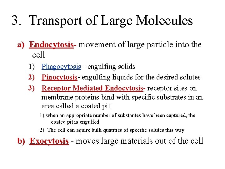 3. Transport of Large Molecules a) Endocytosis- movement of large particle into the cell