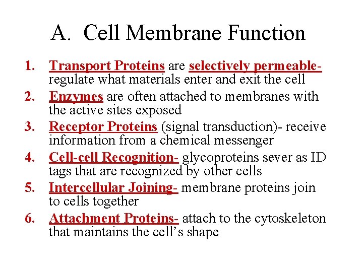 A. Cell Membrane Function 1. Transport Proteins are selectively permeableregulate what materials enter and