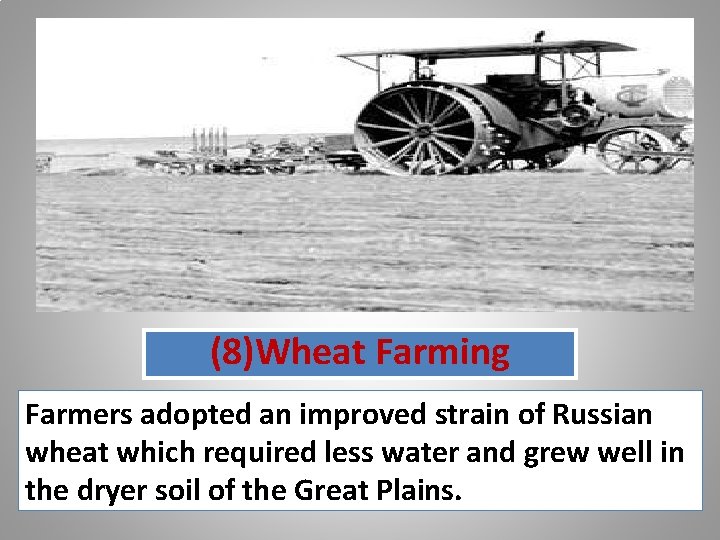 (8)Wheat Farming Farmers adopted an improved strain of Russian wheat which required less water