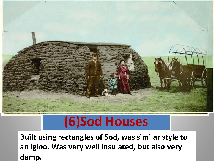 (6)Sod Houses Built using rectangles of Sod, was similar style to an igloo. Was