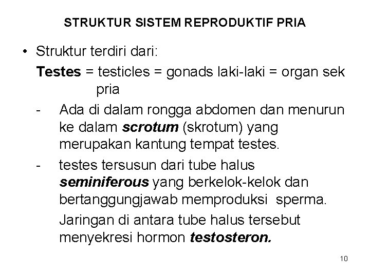 STRUKTUR SISTEM REPRODUKTIF PRIA • Struktur terdiri dari: Testes = testicles = gonads laki-laki