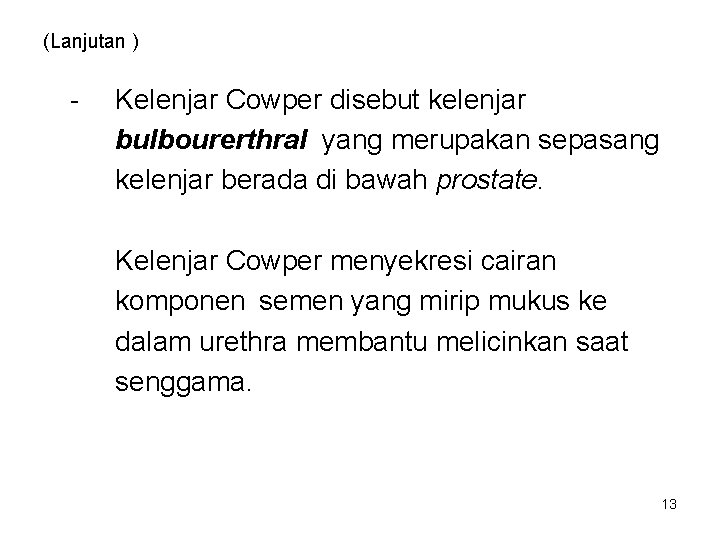 (Lanjutan ) - Kelenjar Cowper disebut kelenjar bulbourerthral yang merupakan sepasang kelenjar berada di