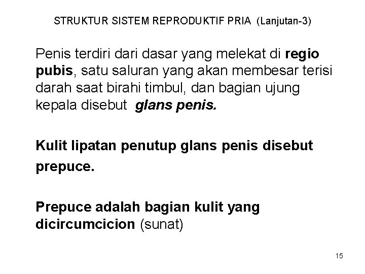 STRUKTUR SISTEM REPRODUKTIF PRIA (Lanjutan-3) Penis terdiri dasar yang melekat di regio pubis, satu