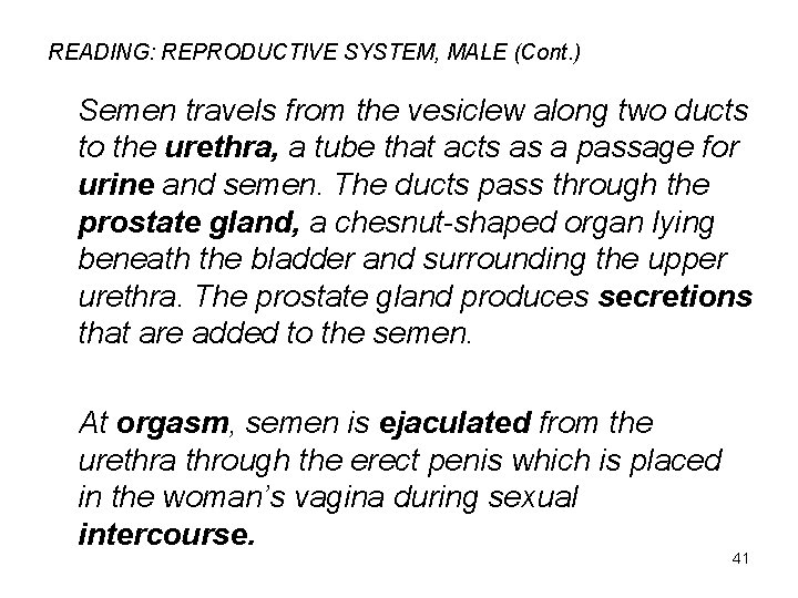 READING: REPRODUCTIVE SYSTEM, MALE (Cont. ) Semen travels from the vesiclew along two ducts