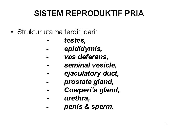 SISTEM REPRODUKTIF PRIA • Struktur utama terdiri dari: testes, epididymis, vas deferens, seminal vesicle,