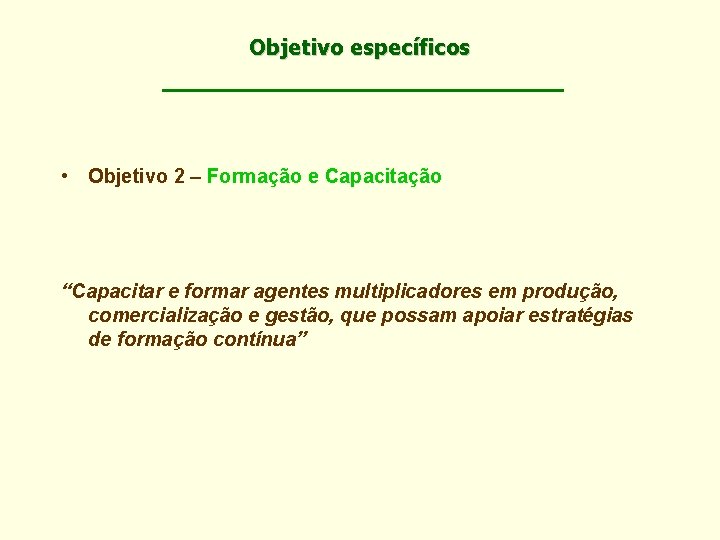 Objetivo específicos • Objetivo 2 – Formação e Capacitação “Capacitar e formar agentes multiplicadores