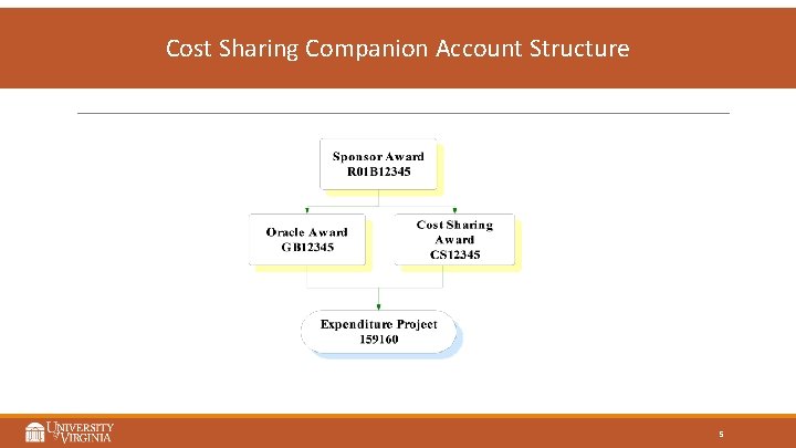 Cost Sharing Companion Account Structure 5 