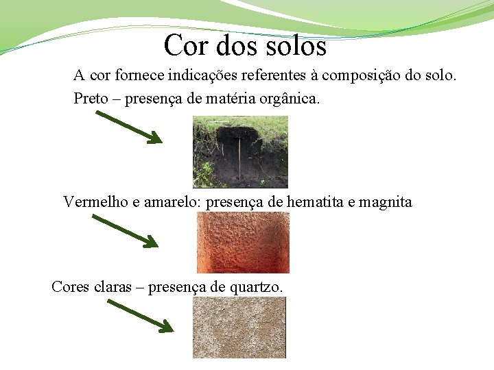 Cor dos solos A cor fornece indicações referentes à composição do solo. Preto –