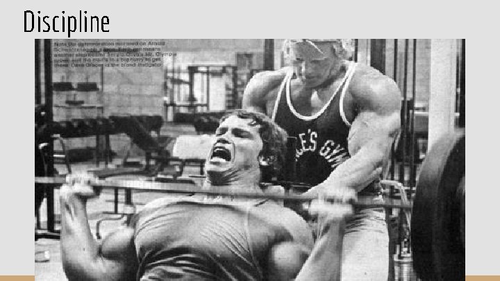 Discipline Discipline