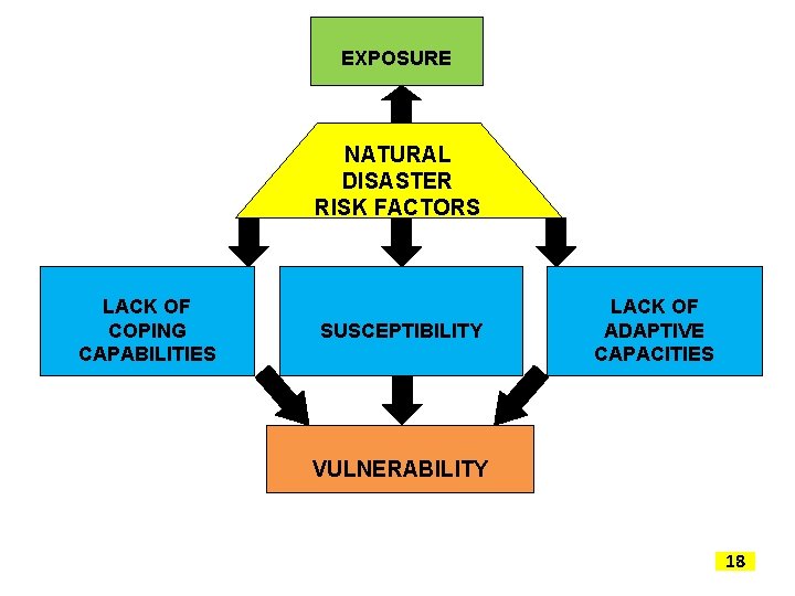 EXPOSURE NATURAL DISASTER RISK FACTORS LACK OF COPING CAPABILITIES SUSCEPTIBILITY LACK OF ADAPTIVE CAPACITIES