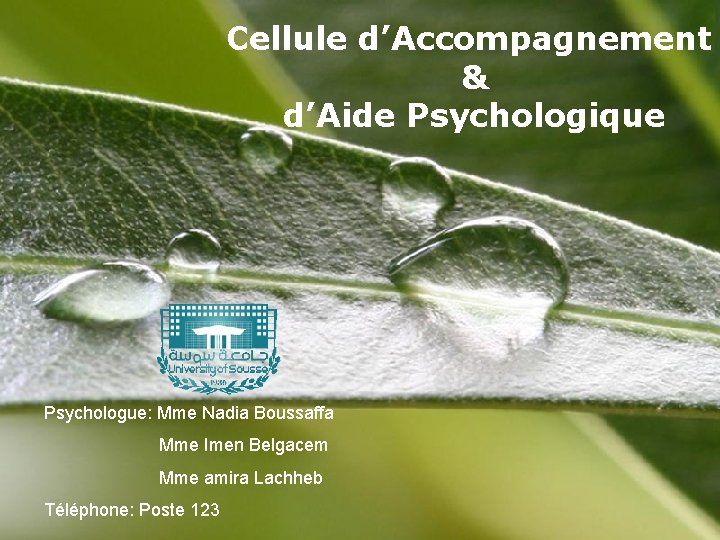 Cellule d’Accompagnement & d’Aide Psychologique Psychologue: Mme Nadia Boussaffa Mme Imen Belgacem Mme amira