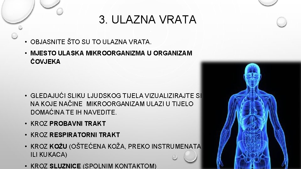 3. ULAZNA VRATA • OBJASNITE ŠTO SU TO ULAZNA VRATA. • MJESTO ULASKA MIKROORGANIZMA