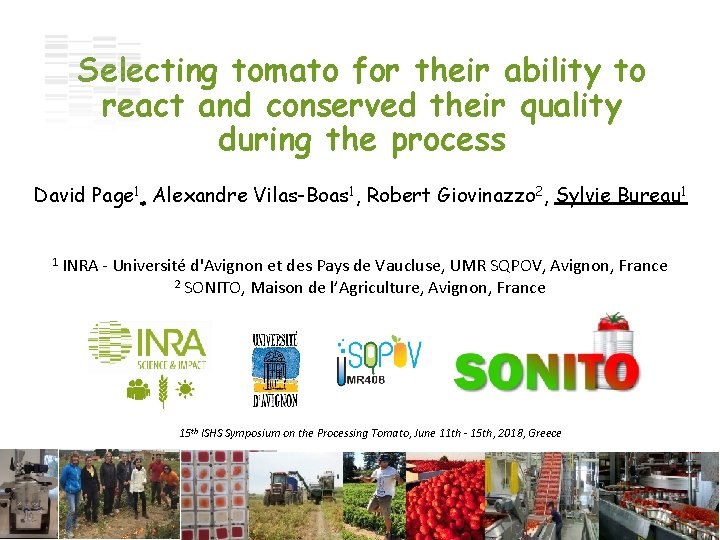 Selecting tomato for their ability to react and conserved their quality during the process